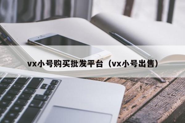 vx小号购买批发平台（vx小号出售）