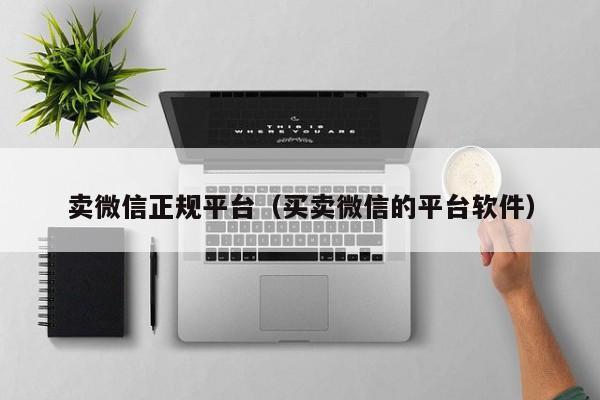 卖微信正规平台（买卖微信的平台软件）