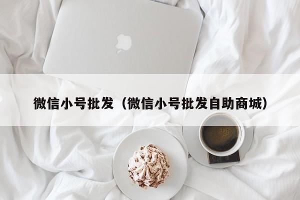 微信小号批发（微信小号批发自助商城）