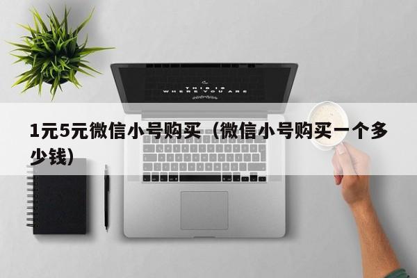 1元5元微信小号购买（微信小号购买一个多少钱）