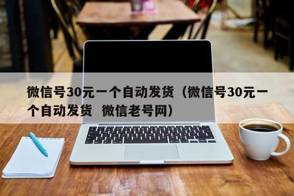 微信号30元一个自动发货（微信号30元一个自动发货  微信老号网）