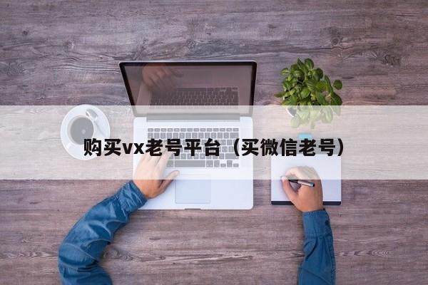 购买vx老号平台（买微信老号）