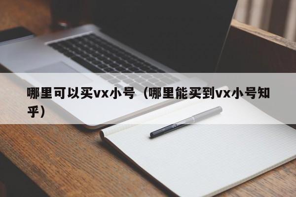 哪里可以买vx小号（哪里能买到vx小号知乎）