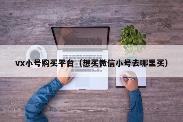 vx小号购买平台（想买微信小号去哪里买）