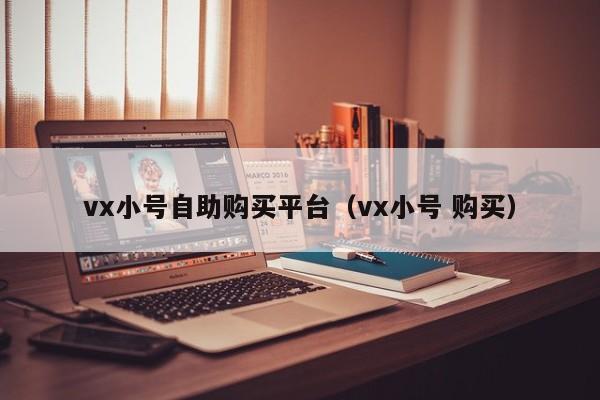 vx小号自助购买平台（vx小号 购买）