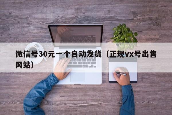 微信号30元一个自动发货（正规vx号出售网站）