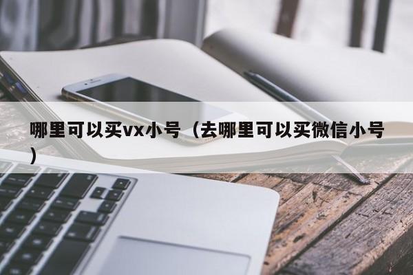 哪里可以买vx小号（去哪里可以买微信小号）